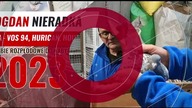 Bogdan Nieradka - gołębie Lini Vos 94,Houben, Pitbull, - Redukcja rozpłodu - film gołębie 2023