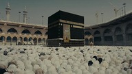 Condor. S01E10. END