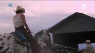 Koń imieniem Sylwester 1985 Lektor PL