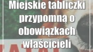 Miejskie tabliczki przypomną o obowiązkach właścicieli czworonogów