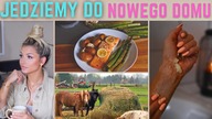 Pierwsze problemy | Dlaczego lubimy cierpieć?
