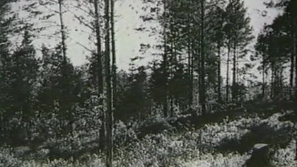 Prywatne śledztwo majora Zakirova (2010)