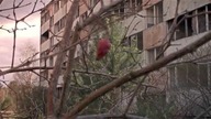 Pstrąże - Największe opuszczone miasto w Polsce