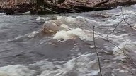 Łeba po roztopach (zwiastun 2)
