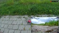 MJX BUGS 3 + Kamerka EKEN H9