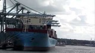 Ruch jak w młynie! MAJESTIC MAERSK