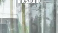 Kierowca zatrąbił.  Szokująca reakcja pasażerki
