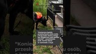 Kto udostępnił zdjęcia Jaworka w sieci?