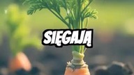 Wydobądź Swoją Wewnętrzną Siłę: Czas na Działanie!