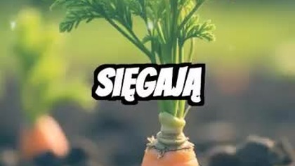 Wydobądź Swoją Wewnętrzną Siłę: Czas na Działanie!