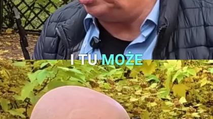 Przerażająca pułapka: Jak mechanizm może cię zniszczyć? #shorts