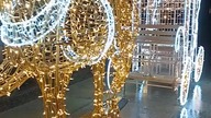 Świąteczna iluminacja przed WCK Filharmonią Kaszubską