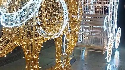 Świąteczna iluminacja przed WCK Filharmonią Kaszubską