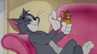 Tom & Jerry (1940) - S02E14 - Polka-Dot Puss (1080p AMZN WEB-DL x265 Ghost)