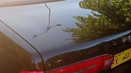 Bydgoskie Klasyki Nocą VOL.  2 - Ford Custom 500