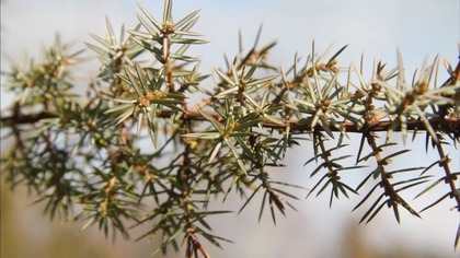 Przedwiośnie - fotograficzny spacer wokół jeziora Duży Ług