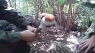 Pochodnia