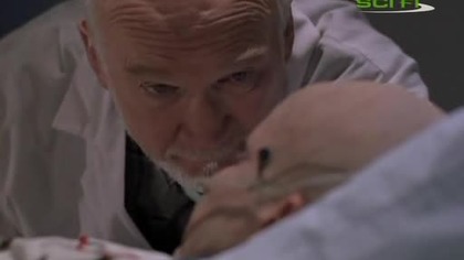 Czynnik. PSI. S03E21.pl. avi