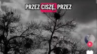 jeśli komuś zależy #music #dance #song