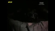TORTURA NADZIEI (1969)