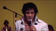 Elvis Presley Blue Suede Shoes