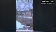 Jak się bawią Ukraińscy urzędnicy