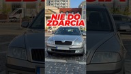 Niezniszczalna Octavia II z BXE pod maską