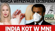 Szczepienia we Francji wstrzymane! Skutki uboczne u części medyków! India Kot w MN!