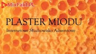 PLASTER MIODU  Odcinek 14  Niewolnik