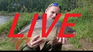 Temat - Zatruta Odra i NOWOŚCI DBaits