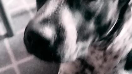 8 października 2024