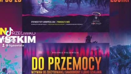Nie wzywam do przemocy, wzywam do zdecydowanej samoobrony i logiki