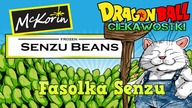 Fasolka Senzu / Dragon Ball Ciekawostki