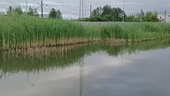 Stawy wędkarskie Zwierzyniec w Tarnobrzegu 