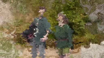 Dwa światy SPELLBINDER (1995) S01E20 Inwazja obcych Lektor PL