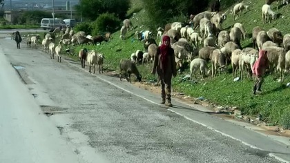 Pierwsze wrażenia w Tunezji