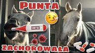PUNTA MA KORONAWIRUSA?! 
