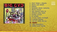 BIG CYC - Pasażer | 13 - Z gitarą wśród zwierząt (1996)