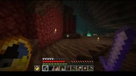 So this is where those savannah armadillos got lost #minecraft #gaming #game #Nether #Absurd #Short