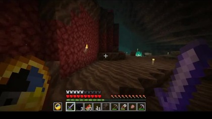 So this is where those savannah armadillos got lost #minecraft #gaming #game #Nether #Absurd #Short