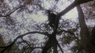 Porachunki. Steelea. [1987].pl. 720p. HDTV. x264. AC3-zakrza201