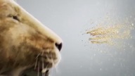 stąd s4e10