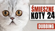 ŚMIESZNE KOTY #24  DUBBING: MATT OLECH