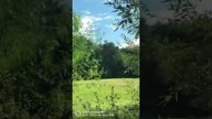 POLSKA JEST PIĘKNA