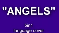 ANGELS 5in1 | Polska wersja | Polish, Italian, Spanish, German, English | Morandi, AsineD