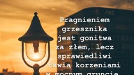 świadectwo Marioli