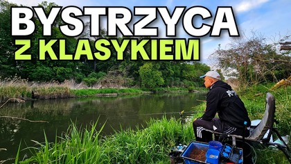 662 RZEKA W TARLE - 3 GODZINNY KLASYCZNY FEEDER