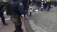 Holandia dziś.  KOlejni demokratyczni.