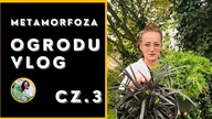 Co posadzić na glinie? Jakie rośliny posadzić na ziemi gliniastej w ogrodzie ?