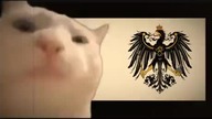 Dancing German Cat